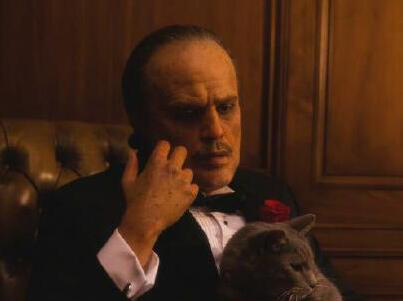 神似！“盆栽哥”模仿《教父》马龙·白兰度造型