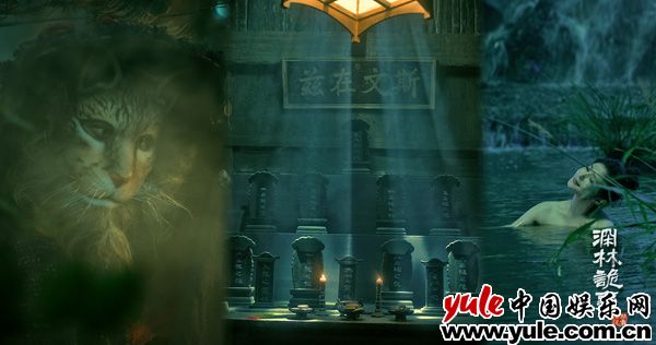 悬疑片《深林诡事》热拍 深入森林环境艰苦自带看点