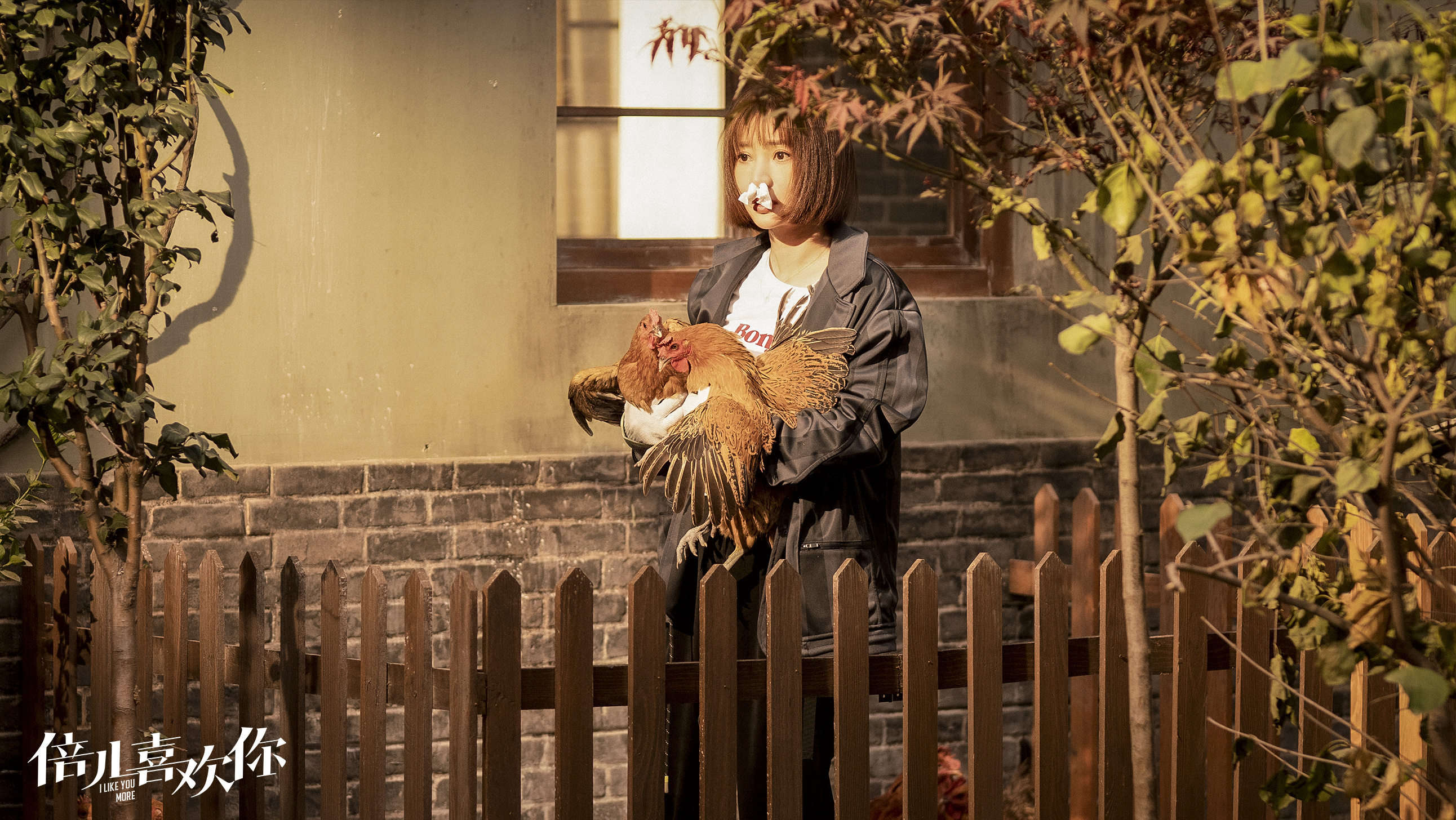 电影《倍儿喜欢你》上映 贾冰柳岩演绎爱情故事