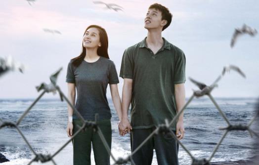 《温柔壳》曝终极海报 王子文尹昉海边甜蜜牵手