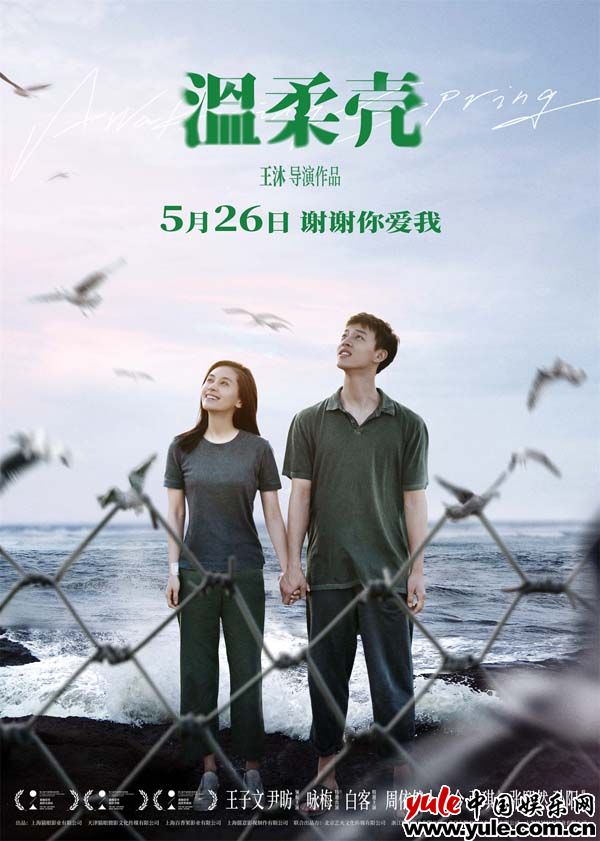 电影《温柔壳》曝“世界尽头的爱”终极海报 王子文尹昉执手同心守望幸福