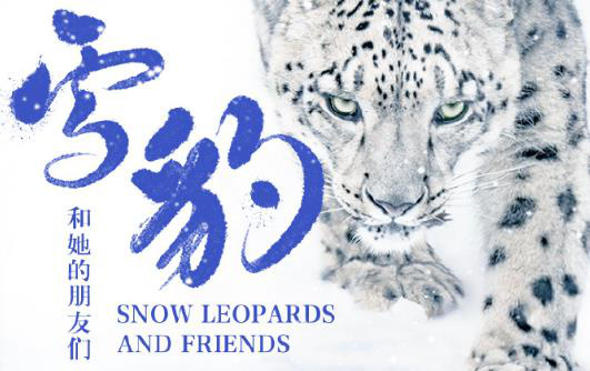 电影《雪豹和她的朋友们》7.22开启8城超前点映