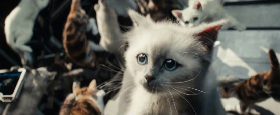 喵!《惊奇队长2》曝正式预告 噬元兽军团激萌来袭