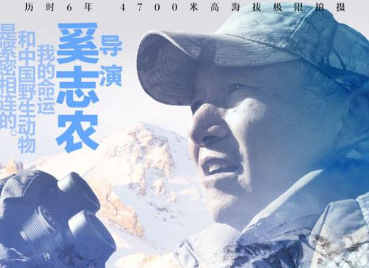 野生动物的天花板！《雪豹和她的朋友们》拍到了