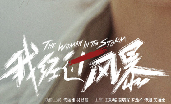 看醒恋爱脑！佟丽娅《我经过风暴》发布上映海报
